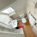 Pohoda U Lva Nová Pec