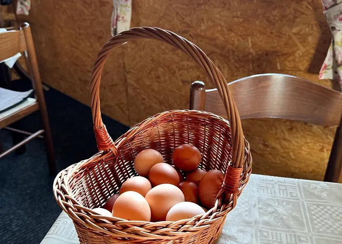 Πανσιόν Pohoda U Lva