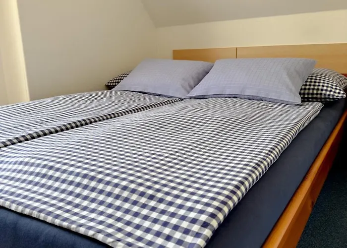 Pohoda U Lva Πανσιόν Nová Pec